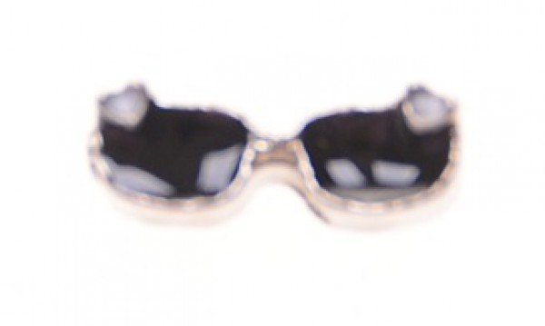 images/productimages/small/820_bedel-sunglasses-voor-memory-lockets.jpg
